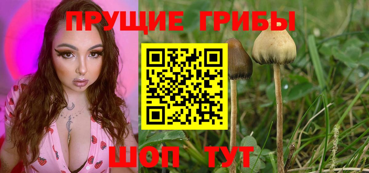 Галлюциногенные грибы мицелий  Вход с VPN  Ульяновск 